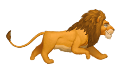 Gif animé lion court